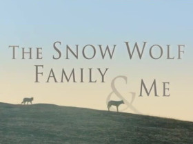 BBC纪录片：我和雪狼一家 Snow Wolf Family and Me 高清720P